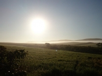 朝日と朝霧に包まれた牧草地
